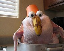 Image result for Thanksgiving Turkey Pics Funny