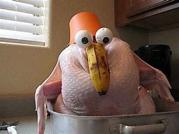 Image result for Crazy Funny Turkey