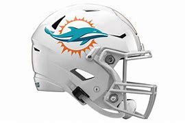 Image result for Miami Dolphins Helmet Logo