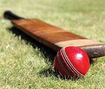 Image result for New Cricket Bat