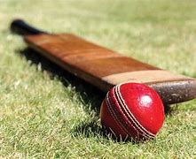 Image result for Pakistan Cricket Bat