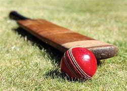 Image result for Cricket Game Ball Mockup