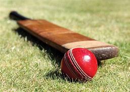 Image result for Professional Cricket Bat