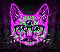 Image result for Trippy Cat Computer Wallpaper