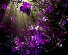 Image result for Free Decorative Computer Screen Images