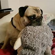 Image result for Dog Toys for Puppies