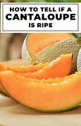 Image result for How to Ripen Carambola