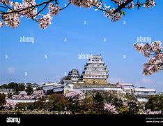 Image result for Himeji Castle Japan Cherry Blossoms