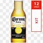 Image result for Corona Beer Clip Art