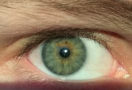 Image result for Rare Human Eye Color Chart