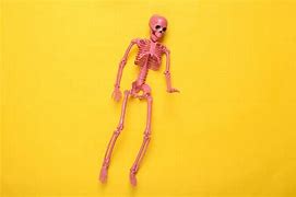 Image result for Cute Pink Skelton