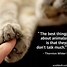 Image result for Clip Art Animal Quotes