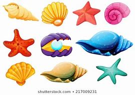 Image result for Clip Art Coquillage