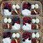 Image result for Protein Boxes