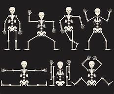 Image result for Skeleton Cartoon Art