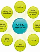 Image result for Perform Quality Assurance Process