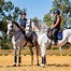 Image result for Classical Dressage