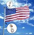 Image result for Snap Hooks for Flags