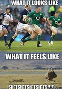 Image result for Rugby Ball Funny