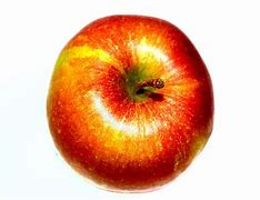 Image result for apple