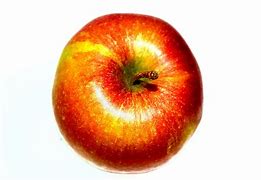 Image result for Apple 2 G