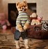 Image result for Jiff the Pomeranian Dark House