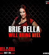 Image result for Nikki Bella WWE Promo