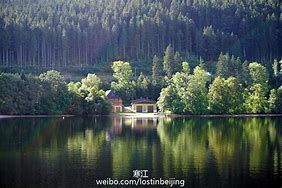 Image result for 黑森林