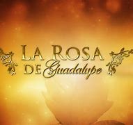 Image result for Rosa De Guadalupe
