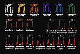 Image result for Karate Belts All Colors