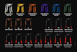 Image result for Different Types of Karate