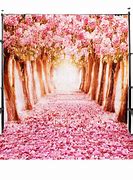 Image result for Photography Studio Backdrops