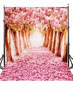 Image result for Wish Photography Backdrops