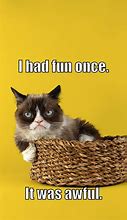 Image result for 50 Funniest Grumpy Cat Memes