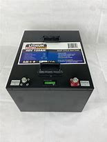 Image result for 48V Bolt Battery