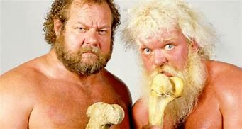 Image result for The Moondogs WWF Card