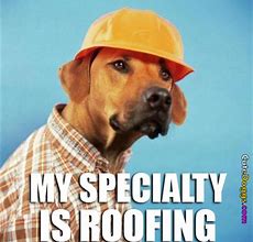 Image result for Dog Roof Meme