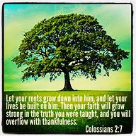 Image result for Tree Faith and Roots in Christ