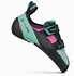 Image result for Scarpa Climbing Shoes