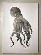 Image result for Octopus Face Drawing