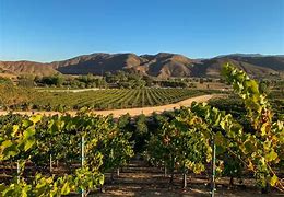 Image result for california wine country
