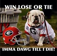 Image result for Funny Georgia Bulldog Memes
