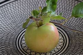 Image result for Apple Interior Fruit