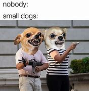Image result for Small Funny Memes
