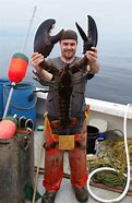 Image result for 40 Lb Lobster