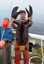 Image result for Largest Lobster Ever Caught Photos