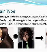Image result for Homozygous Hair