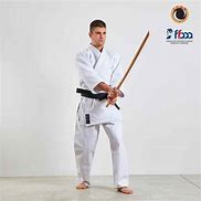 Image result for Aikido Gi