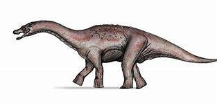 Image result for Aeolosaurus