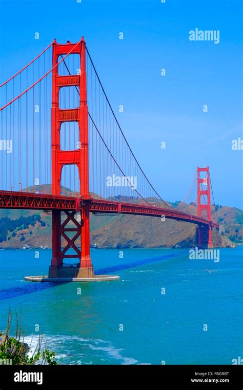Image result for Discursive Writing Introduction Template
